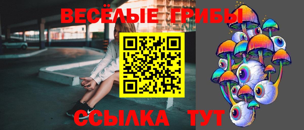 Ступино  Галлюциногенные грибы GOLDEN TEACHER  купить наркоту  Вход с VPN 